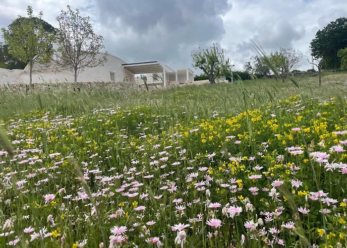 Trulli Locorotondo - Coni Di Luce