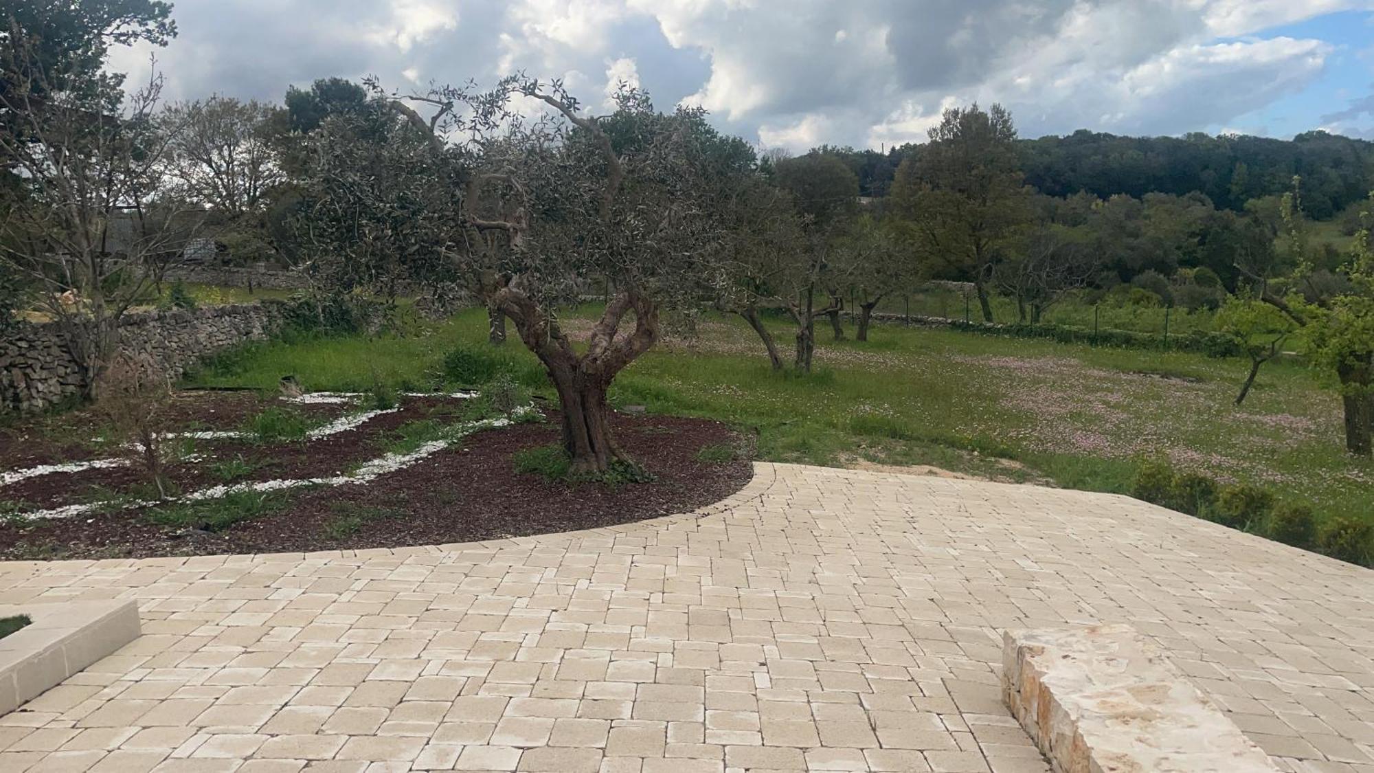 Trulli - Coni Di Luce