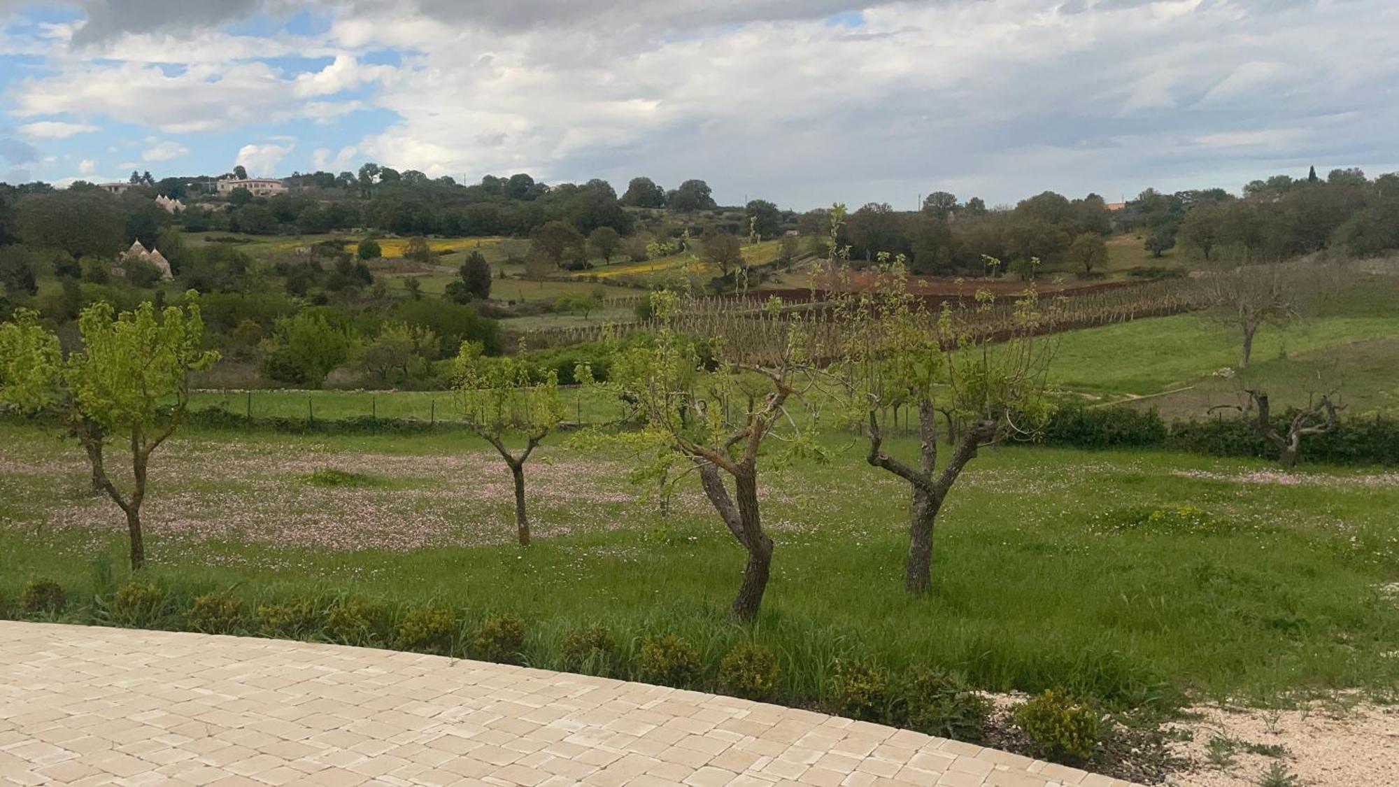 Сasa de vacaciones Trulli - Coni Di Luce