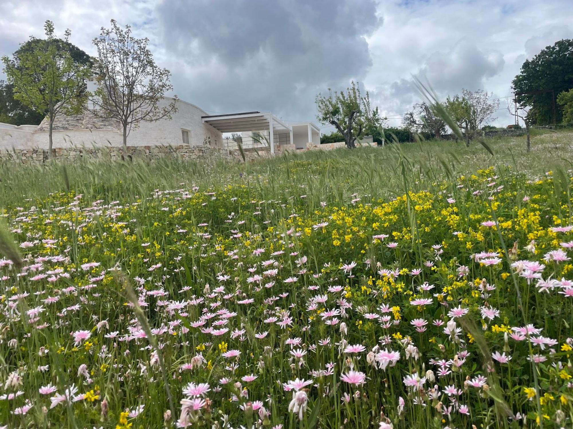 Сasa de vacaciones Trulli - Coni Di Luce